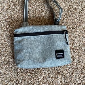 Pacsafe purse